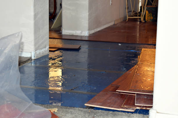 Professional Basement Flood Cleanup technician working in Zenda, WI